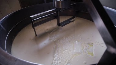 Çağdaş Fabrika, Süt İşleme ve Peynir Üretimi, Yiyecek Üretim Hattı, Endüstriyel Tarım ve Süt Ürünleri Konsepti ile Peynir Üretimi