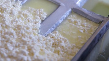 Çağdaş Fabrika, Süt İşleme ve Peynir Üretimi, Yiyecek Üretim Hattı, Endüstriyel Tarım ve Süt Ürünleri Konsepti ile Peynir Üretimi