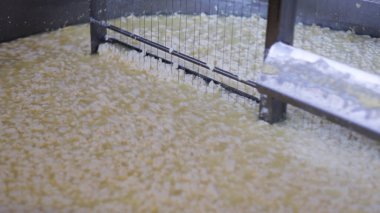 Çağdaş Fabrika, Süt İşleme ve Peynir Üretimi, Yiyecek Üretim Hattı, Endüstriyel Tarım ve Süt Ürünleri Konsepti ile Peynir Üretimi