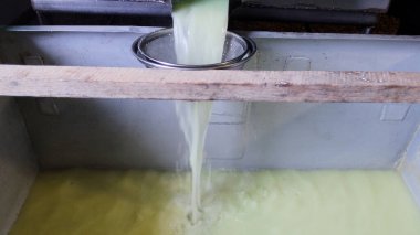 Çağdaş Fabrika, Süt İşleme ve Peynir Üretimi, Yiyecek Üretim Hattı, Endüstriyel Tarım ve Süt Ürünleri Konsepti ile Peynir Üretimi