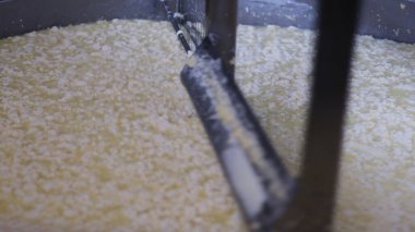 Çağdaş Fabrika, Süt İşleme ve Peynir Üretimi, Yiyecek Üretim Hattı, Endüstriyel Tarım ve Süt Ürünleri Konsepti ile Peynir Üretimi