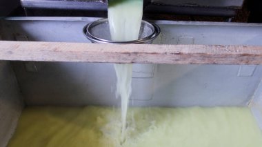 Çağdaş Fabrika, Süt İşleme ve Peynir Üretimi, Yiyecek Üretim Hattı, Endüstriyel Tarım ve Süt Ürünleri Konsepti ile Peynir Üretimi