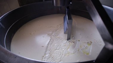 Çağdaş Fabrika, Süt İşleme ve Peynir Üretimi, Yiyecek Üretim Hattı, Endüstriyel Tarım ve Süt Ürünleri Konsepti ile Peynir Üretimi