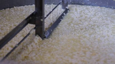 Çağdaş Fabrika, Süt İşleme ve Peynir Üretimi, Yiyecek Üretim Hattı, Endüstriyel Tarım ve Süt Ürünleri Konsepti ile Peynir Üretimi