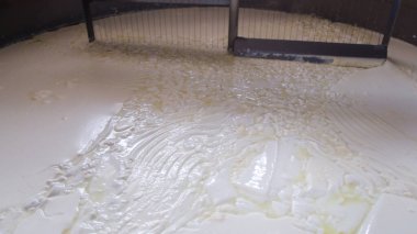 Çağdaş Fabrika, Süt İşleme ve Peynir Üretimi, Yiyecek Üretim Hattı, Endüstriyel Tarım ve Süt Ürünleri Konsepti ile Peynir Üretimi