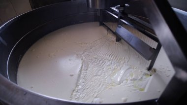 Çağdaş Fabrika, Süt İşleme ve Peynir Üretimi, Yiyecek Üretim Hattı, Endüstriyel Tarım ve Süt Ürünleri Konsepti ile Peynir Üretimi