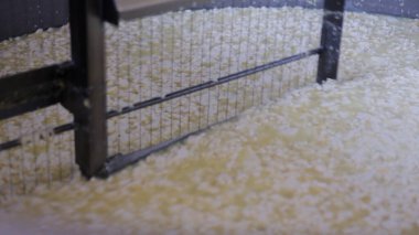 Çağdaş Fabrika, Süt İşleme ve Peynir Üretimi, Yiyecek Üretim Hattı, Endüstriyel Tarım ve Süt Ürünleri Konsepti ile Peynir Üretimi