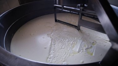 Çağdaş Fabrika, Süt İşleme ve Peynir Üretimi, Yiyecek Üretim Hattı, Endüstriyel Tarım ve Süt Ürünleri Konsepti ile Peynir Üretimi