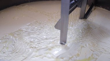 Çağdaş Fabrika, Süt İşleme ve Peynir Üretimi, Yiyecek Üretim Hattı, Endüstriyel Tarım ve Süt Ürünleri Konsepti ile Peynir Üretimi