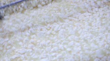 Çağdaş Fabrika, Süt İşleme ve Peynir Üretimi, Yiyecek Üretim Hattı, Endüstriyel Tarım ve Süt Ürünleri Konsepti ile Peynir Üretimi