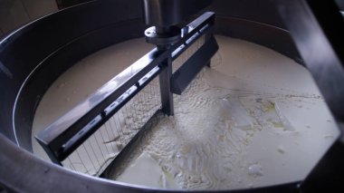 Çağdaş Fabrika, Süt İşleme ve Peynir Üretimi, Yiyecek Üretim Hattı, Endüstriyel Tarım ve Süt Ürünleri Konsepti ile Peynir Üretimi