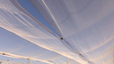 Meyve bahçesindeki elma çiftliği çalışma süreci, ağaçlardaki taze elmaları hasat eden ve idare eden işçiler ve çöp kutularında tarım gıda üretimi, organik meyve tarımı ve kırsal sanayi kavramı