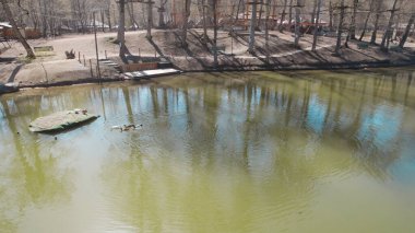 Orman Gölü 'ndeki ördekler, insansız hava gözünden, ağaçlar ve vahşi doğayla çevrili sakin sularda yüzen vahşi kuşlar, ekoloji, çevre, seyahat ve uzak doğa konsepti için doğal yaşam manzarası.