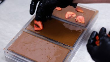 Kakao İşleme ve Şekerleme Üretim Hattı ile Çikolata Fabrikası Üretim Süreci, Endüstriyel Gıda Üretimi, Şekerler ve Şekerler Modern İşleme Tesisinde Ekipman Yapımı