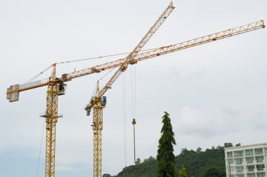 Sarı Yükaldırma vinç