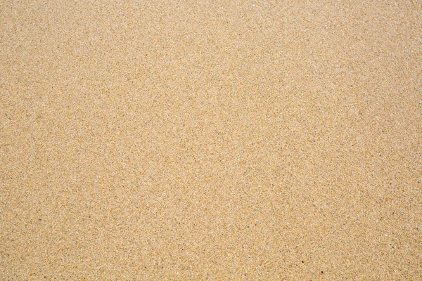 Fond de sable — Photo