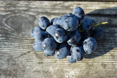 Olgun üzüm makronun demetleri