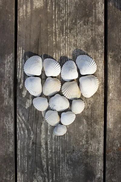 Coração feito de conchas do mar — Fotografia de Stock