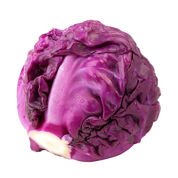 Red Cabbage Isolated White Background — Stock Photo, Image