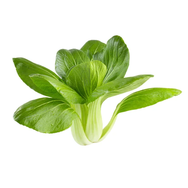 Col China Verde Fresca Bok Choy Pok Choi Pak Choi — Foto de Stock