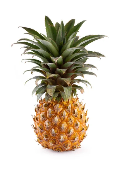 Rijp Ananasvruchten Zomervruchten Voor Een Gezonde Levensstijl Biologisch Fruit Geïsoleerd — Stockfoto