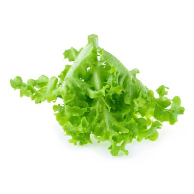 Beyaz arkaplanda yeşil meşe yaprağı marulu.