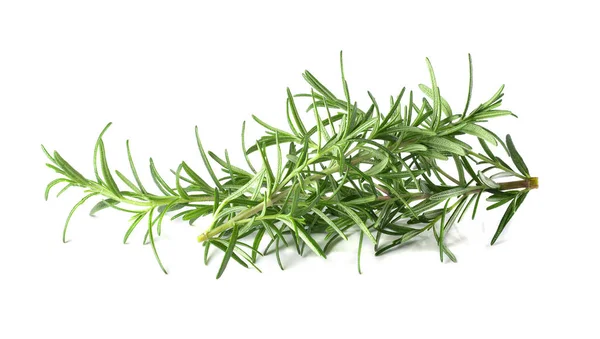 Rosemary Fresco Isolado Fundo Branco — Fotografia de Stock