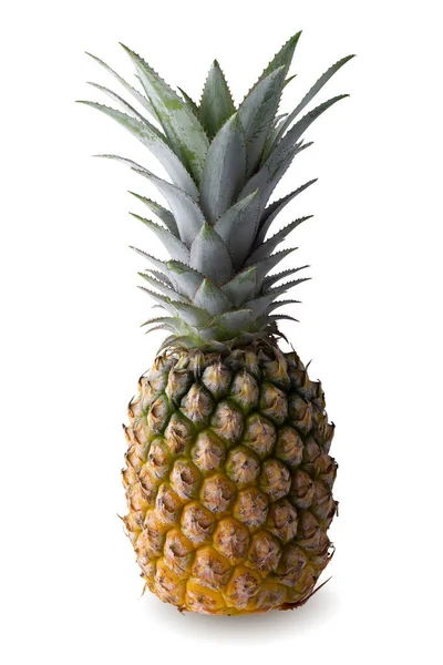 Ananas Fruit Ananasschijfjes Geïsoleerd Een Witte Achtergrond — Stockfoto