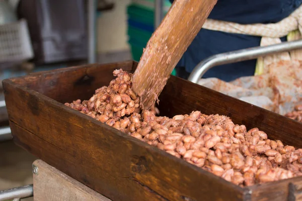 Granos Cacao Fermentados Frescos Que Encuentran Caja Madera —  Fotos de Stock