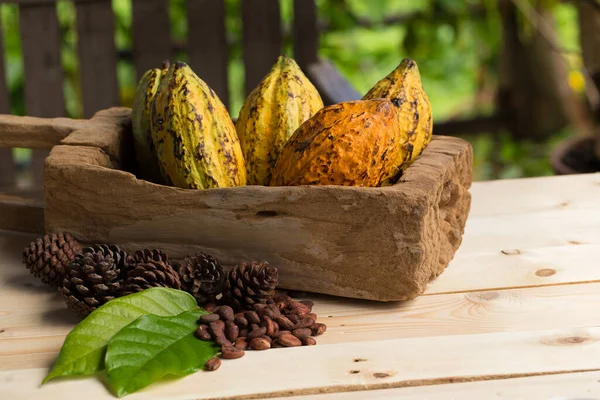 Frutos Cacao Granos Cacao Crudos Vaina Cacao Sobre Fondo Madera — Foto de Stock