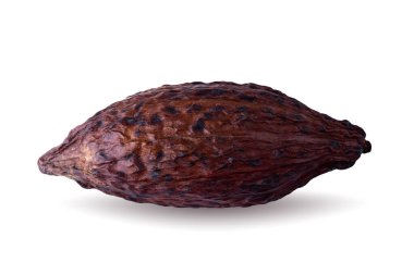 Kakao kabuğu ve fasulyeler beyaz arka planda izole edilmiş..