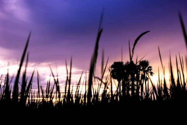 Colorful Dramatic Sky Cloud Sunset Sky Sun Background — Stock Photo, Image