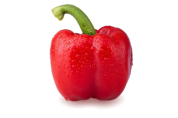 Kapky Vody Red Bell Pepper Izolované Bílém Pozadí — Stock fotografie