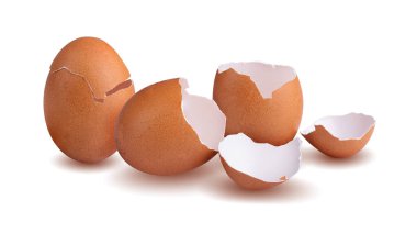 Kırık kahverengi yumurta kabuğu beyaz bir arkaplanda izole edilmiş..