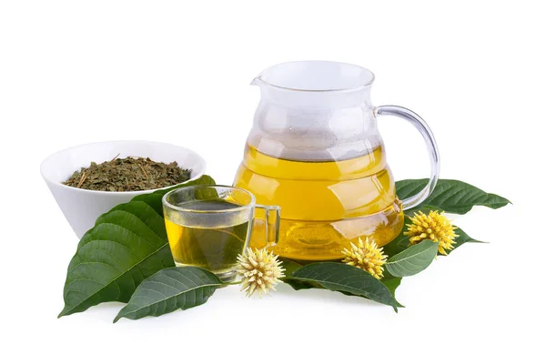 Kratom a chuť k jídlu