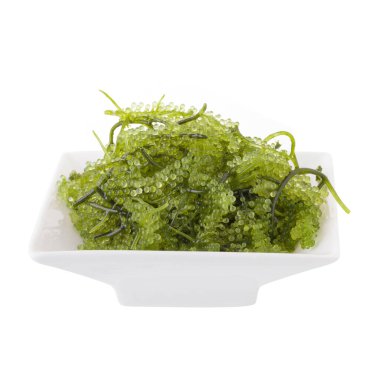 Umi-budou, Seaweed, sağlıklı deniz ürünleri. Oval deniz yosunları. Sağlıklı yiyecek, beyaz arka planda yeşil havyarı kapat.