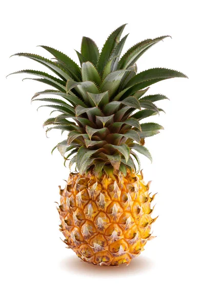 Ripe Pineapple Fruits Summer Fruits Healthy Lifestyle Organic Fruit Isolated — Stock Photo, Image