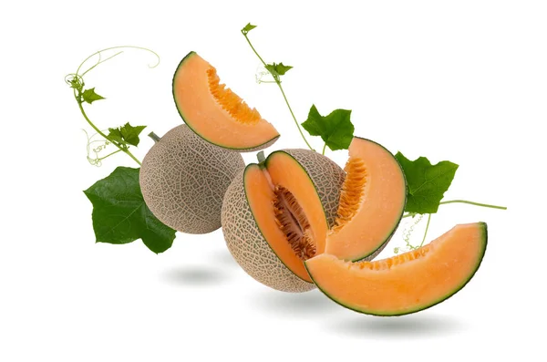 Ganze Und Scheiben Japanische Melonen Orangenmelone Oder Cantaloupe Melone Mit — Stockfoto