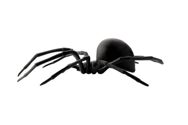 Falešné Gumové Pavouk Hračka Izolované Přes Bílé Pozadí — Stock fotografie
