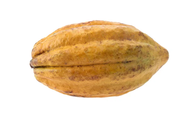 Kakao Meyvesi Çiğ Kakao Fasulyesi Kakao Kabuğu Beyaz Arkaplanda Kırpma — Stok fotoğraf