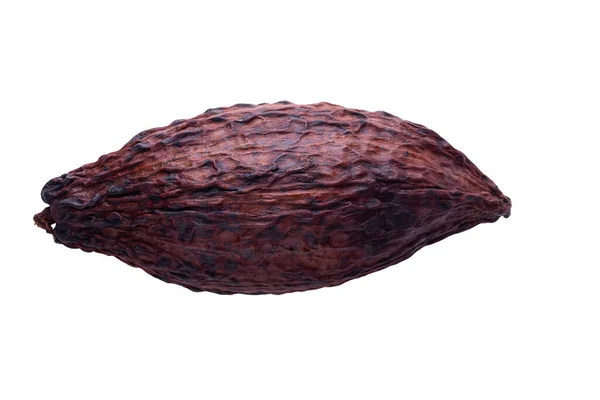 Какао Стручок Бобы Изолированы Белом Фоне — стоковое фото