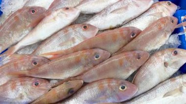 Taze deniz balıkları balık pazarında ezilmiş buz üzerinde güzelce düzenlenir..