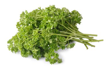 Kıvırcık Maydanoz yapraklı bir bitkidir. Beyaz arka planda küçük bir çalı gibi büyür.