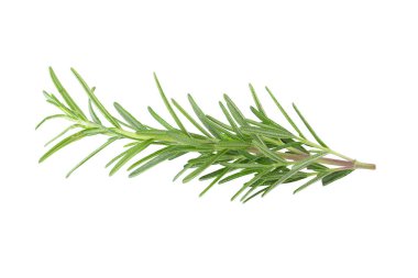 Beyaz arka planda izole edilmiş taze biberiye