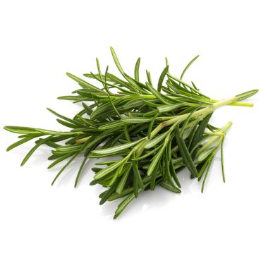 Biberiye yaprağı bitkisi beyaz arka planda izole edilmiş baharatlardır..