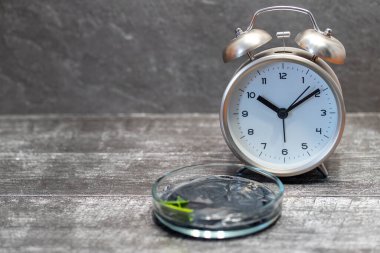 Ev yapımı yüz maskesi ve aktif kömür tozu ve ahşap zemin üzerinde alarm saati olan yoğurt..