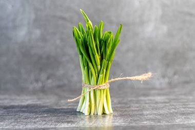 Gri arka planda taze toplanmış yeşil sarımsak yaprakları, yakın plan. Sağlıklı yeşil pırasa ya da yabani sarımsak yaprakları.