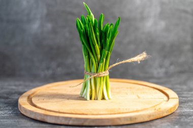 Gri arka planda taze toplanmış yeşil sarımsak yaprakları, yakın plan. Sağlıklı yeşil pırasa ya da yabani sarımsak yaprakları.