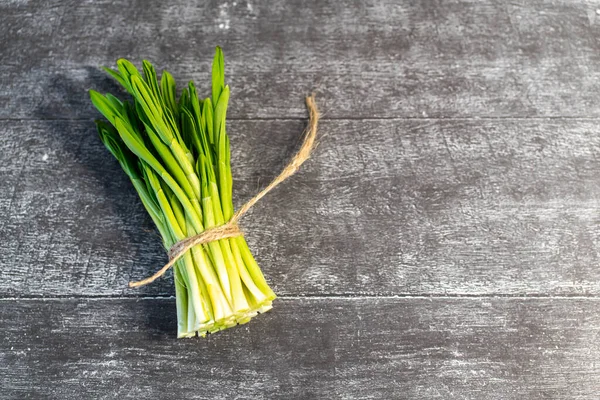 Bunch Freshly Picked Green Leaves Wild Garlic Gray Background Close — Stock Photo, Image