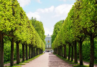 1.07.2021 Rusya St. Petersburg. Catherine Park 'ın manzarası, Tsarskoe Selo, Puşkin